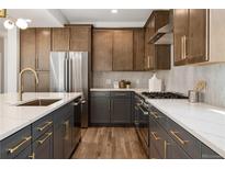 Contemporary kitchen with stainless steel appliances, custom cabinets, and quartz countertops at 2515 N Gaylord St, Denver, CO 80205