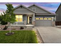 Charming single-Gathering home featuring a landscaped front yard, covered porch, and an attached two-car garage at 965 Peach Leaf Ln, Elizabeth, CO 80107