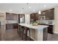 Well-equipped kitchen boasts stainless steel appliances, a large island, and ample cabinet space at 9772 Taylor River Cir, Littleton, CO 80125
