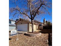 Charming single-story home featuring an attached garage and a well-maintained front yard with a beautiful tree at 9530 Devon Ct, Highlands Ranch, CO 80126
