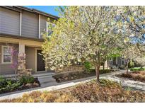 Charming two-story home featuring stone accents and blossoming trees in the front yard at 3332 Valentia St, Denver, CO 80238