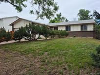 Charming single-story home featuring a lush lawn, mature trees and inviting curb appeal at 2832 S Mobile St, Aurora, CO 80013