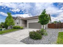 Charming single-Gathering home featuring a manicured front yard and neutral gray siding at 612 Blue Teal Dr, Castle Rock, CO 80104