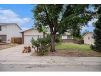 Charming single-story home featuring an attached garage and a well-maintained front yard with mature tree at 2832 S Mobile St, Aurora, CO 80013