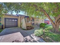 Charming brick home featuring an attached garage, mature tree, and a well-maintained front yard at 6054 Iris Way, Arvada, CO 80004