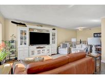 Inviting living room features a large built-in entertainment center and comfortable seating area at 7040 E Girard Ave # 406, Denver, CO 80224