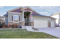 Attractive ranch-style home with a two-car garage and landscaped front yard at 9011 Harlequin Cir, Longmont, CO 80504