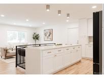 Open-concept kitchen with large island, white cabinets, and view to living room at 2257 S Lowell Blvd, Denver, CO 80219