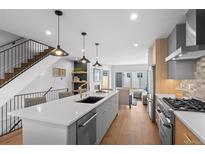 Modern kitchen featuring a large island, stainless steel appliances, and an open floor plan to the living area at 2538 S Acoma St, Denver, CO 80223