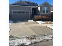 Gray exterior boasts a two-car garage and well-manicured landscaping at 11621 Colony Loop Loop, Parker, CO 80138