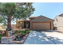 Charming single-Gathering home with a well-manicured lawn, mature tree, and an inviting front porch at 4392 E 126Th Pl, Thornton, CO 80241