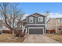 Charming two-story home featuring a gray exterior, attached garage, and well-maintained front yard at 10752 Steele St, Northglenn, CO 80233