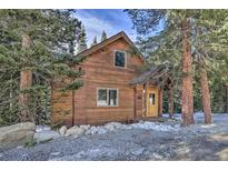 Charming wood cabin nestled among tall trees, offering a cozy and private retreat at 609 Brook Dr, Idaho Springs, CO 80452