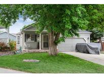 Charming single-story home featuring a well-maintained lawn, mature tree, and covered front porch with swing at 12104 Ivanhoe Ct, Brighton, CO 80602