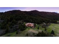 Stunning hillside estate surrounded by lush green trees and manicured landscaping at 15533 S Perry Park Rd, Palmer Lake, CO 80133
