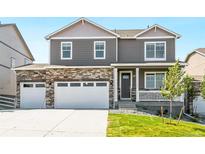 Beautiful two-story home featuring a stone facade, gray siding, attached two-car garage and a well-maintained lawn at 4202 Sandstone Dr, Mead, CO 80504