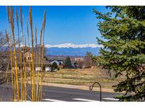 Scenic street view with mountain backdrop and charming neighborhood setting on a clear sunny day at 551 Rio Rancho Way, Brighton, CO 80601