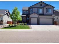Charming two-story home with a well-maintained front yard, two-car garage, and beautiful curb appeal at 6616 Amur Ln, Castle Rock, CO 80108