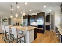 A chef's kitchen features a large island, granite counters, and modern stainless steel appliances at 17637 W 87Th Ave, Arvada, CO 80007