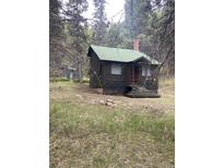Quaint cabin exterior with green roof, charming rustic details surrounded by trees at 10504 Jackson Creek Rd, Sedalia, CO 80135