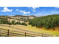 Expansive view of rolling hills with trees and distant city skyline, under a partly cloudy blue sky at 21849 Cabrini Blvd, Golden, CO 80401