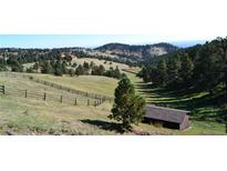 Scenic hillside landscape with lush green trees and an abundance of natural beauty at 21849 Cabrini Blvd, Golden, CO 80401