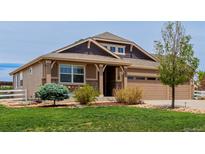 Charming two-story home featuring a well-manicured lawn, tasteful landscaping and a two car garage at 10653 E 163Rd Ct, Brighton, CO 80602
