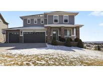 Charming two-story home with a manicured lawn and a three car garage at 20132 Spruce Point Pl, Parker, CO 80134