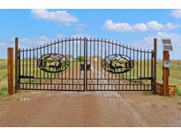 View of the property's ornate black metal front gate with wildlife themed design at 47855 E 88Th Ave, Bennett, CO 80102