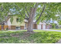 Charming two-story home featuring brick accents, a well-maintained lawn, and a large tree in the front yard at 11310 W 46Th Ave, Wheat Ridge, CO 80033