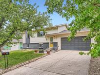 Inviting home with a well-manicured lawn, mature trees, and a charming yellow front door at 12991 E Idaho Dr, Aurora, CO 80012