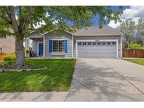 Charming single-Gathering home showcasing a well-maintained lawn and a two-car garage at 11030 Glacier Park Cir, Parker, CO 80138