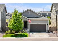 Charming single-Gathering home boasts a two-car garage, well-manicured lawn, and an inviting front entrance at 3575 White Rose Loop, Castle Rock, CO 80108