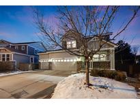 Inviting two-story home featuring a three-car garage and a leafless tree in the front yard at 11053 Meadowvale Cir, Highlands Ranch, CO 80130