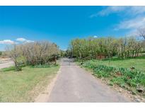 Long driveway leading to a gated home surrounded by lush greenery and mature trees under a bright blue sky at 6334 Cherokee Dr, Sedalia, CO 80135