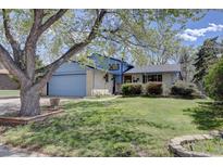 Charming, well-kept home featuring a spacious front yard with lush green grass and mature trees at 7761 S Wellington St, Centennial, CO 80122