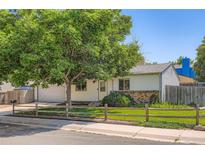 Charming home with a well-maintained front yard, mature tree, and a welcoming exterior at 4849 S Pitkin Way, Aurora, CO 80015