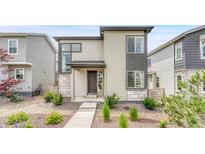 Modern two-story home with low maintenance front yard landscaping at 8911 Eagle River St, Littleton, CO 80125