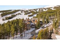 Inviting exterior of a mountain condo nestled among trees, with ski slopes in the background at 107 Skiwatch Dr # 329, Breckenridge, CO 80424
