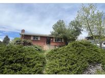 Charming brick home with a well-maintained front yard, inviting curb appeal, and mature bushes at 7127 Otis St, Arvada, CO 80003