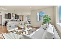 Bright living room with modern decor, stylish furnishings, and an open layout to the kitchen and dining area at 9002 Birch Run Dr, Parker, CO 80134