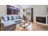 Cozy living room featuring a fireplace and comfortable seating at 246 Broken Lance Dr # 503, Breckenridge, CO 80424