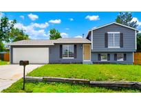 Charming gray home featuring a well-maintained lawn and complemented by a mailbox and garage door at 16322 E Idaho Pl, Aurora, CO 80017
