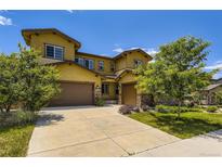 Two-story home featuring a two-car garage, landscaped yard and appealing architecture at 14074 Yellow Tip Dr, Parker, CO 80134