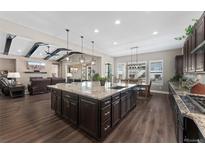Open kitchen featuring a large island and adjacent living room with modern furnishings at 228 Rogers Ct, Castle Rock, CO 80104