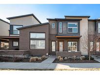 Attractive new build with modern brickwork and stylish neutral-tone cladding at 10066 Belvedere Cir, Lone Tree, CO 80124