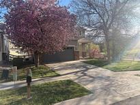 Charming home with a well-maintained lawn and mature flowering tree in the front yard at 14944 E Archer Cir, Aurora, CO 80012