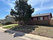 Charming single-story home with a mature tree in the front yard at 14832 Elmendorf Pl, Denver, CO 80239
