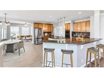 An open kitchen features granite countertops, stainless steel appliances, and bar seating at 23029 Cleveland Dr, Parker, CO 80138