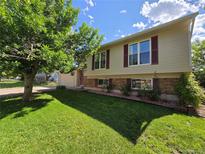 Charming two-story home with brick accents, well-maintained lawn, and mature tree offering shade at 1265 S Biscay St, Aurora, CO 80017